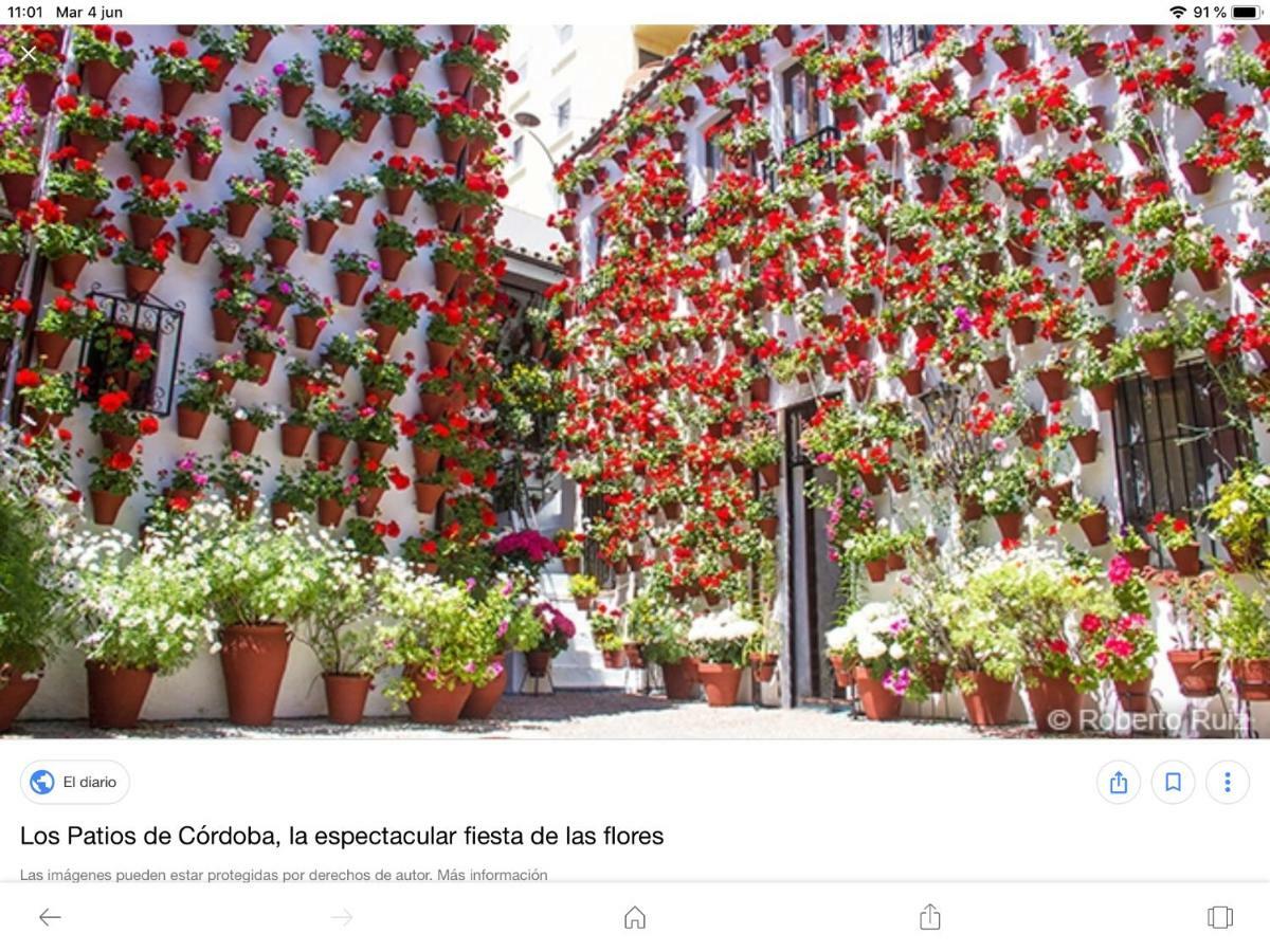 Vft Flor De Naranjo Apartamento Córdova Exterior foto